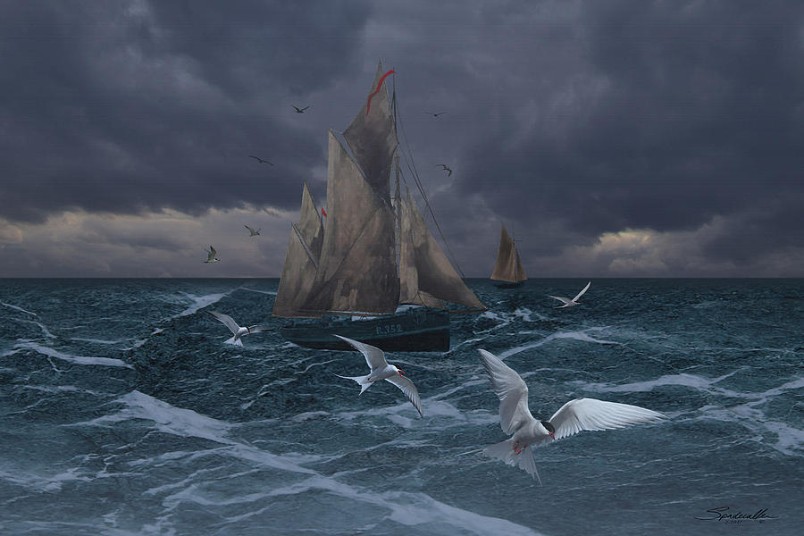 Sailing Digital Art by M Spadecaller