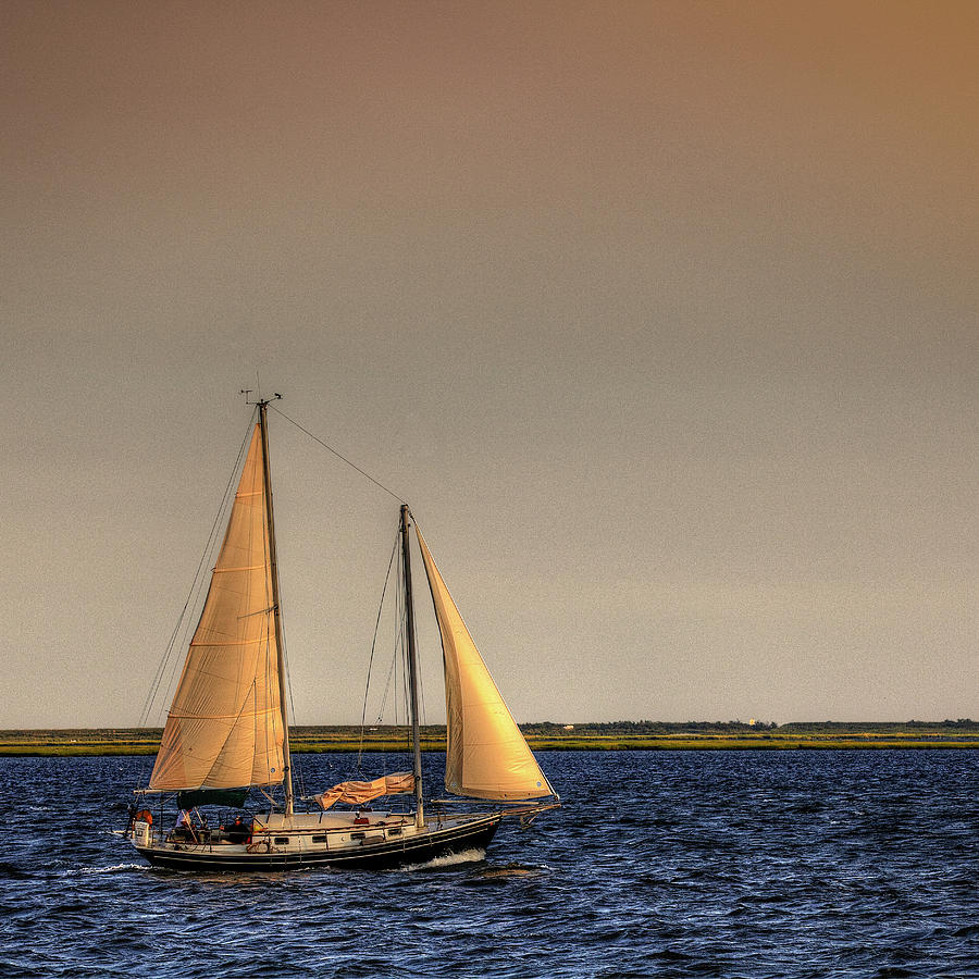 Sailing Photograph by Steve Gravano