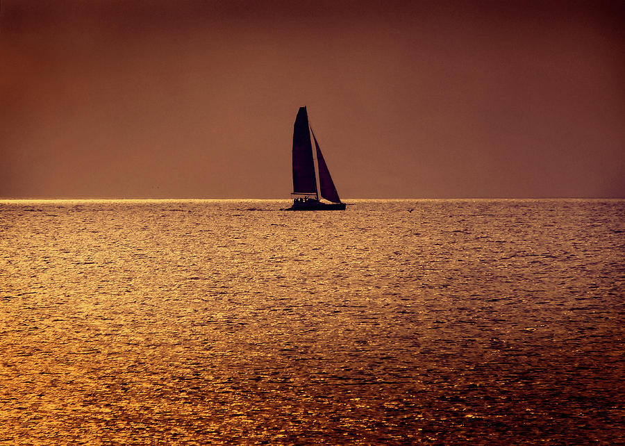 Sailing Photograph by Steven Sparks