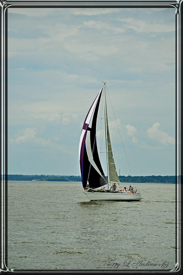 Sailing Photograph by Terry Anderson