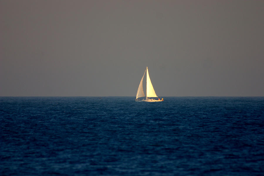 Sailing the Blue Photograph by Brad Scott