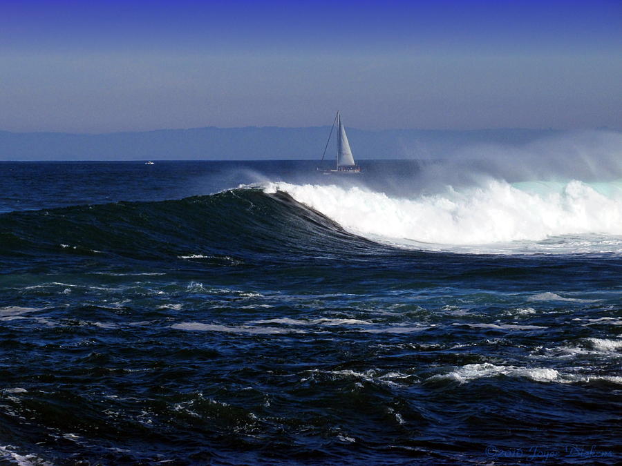 Sailing The Blue Pacific Photograph by Joyce Dickens