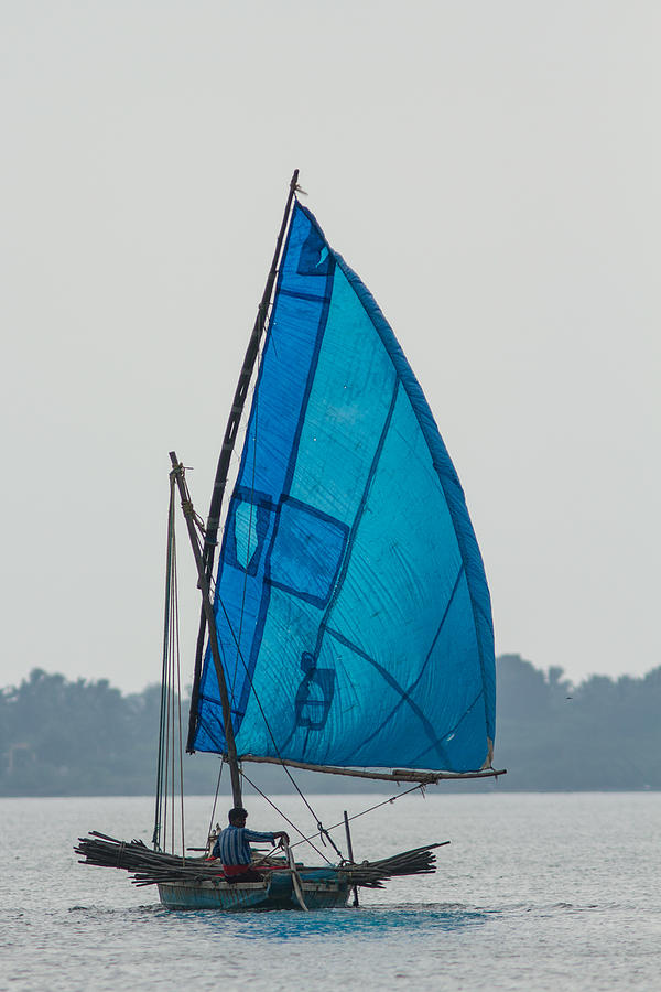 Sailing the blue  Photograph by Ramabhadran Thirupattur