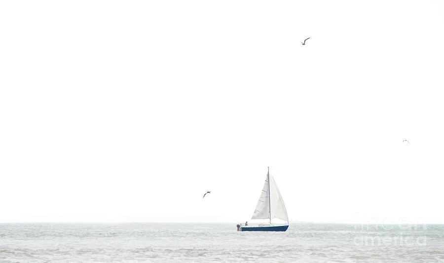 Sailing the Delaware Photograph by Diane LaPreta