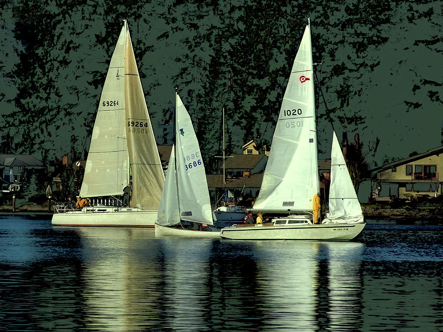 Sailing the Harbor Photograph by David Patterson