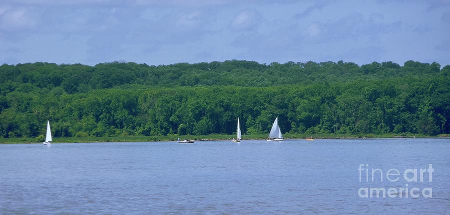 Sailing the Potomac River Photograph by Margie Avellino