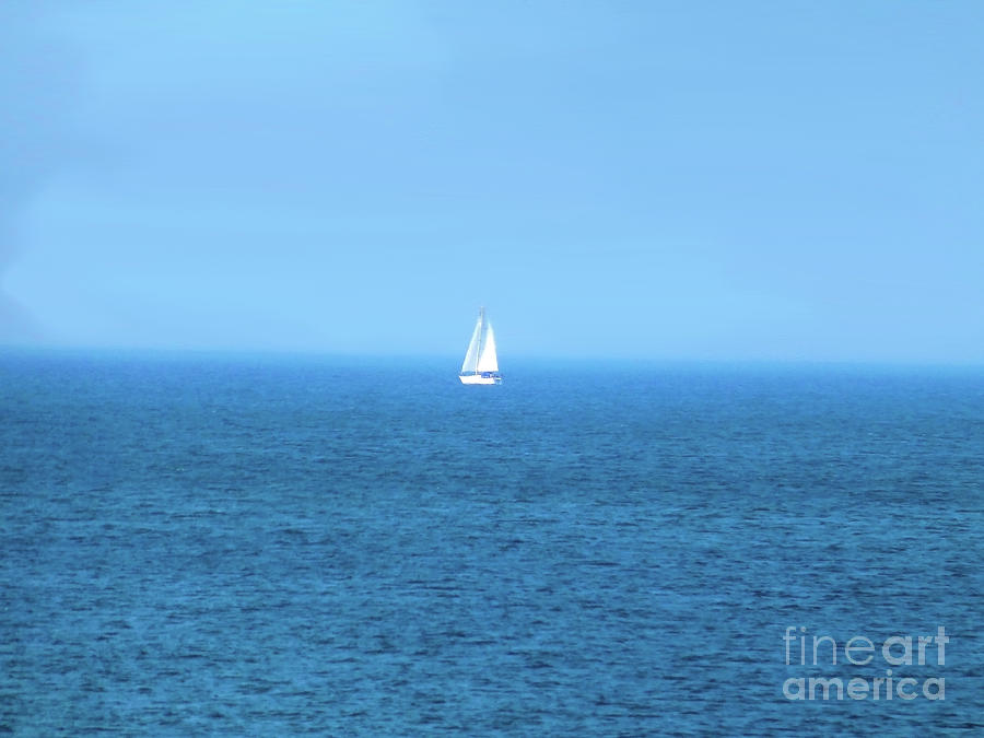 Sailing the sea Photograph by Francesca Mackenney