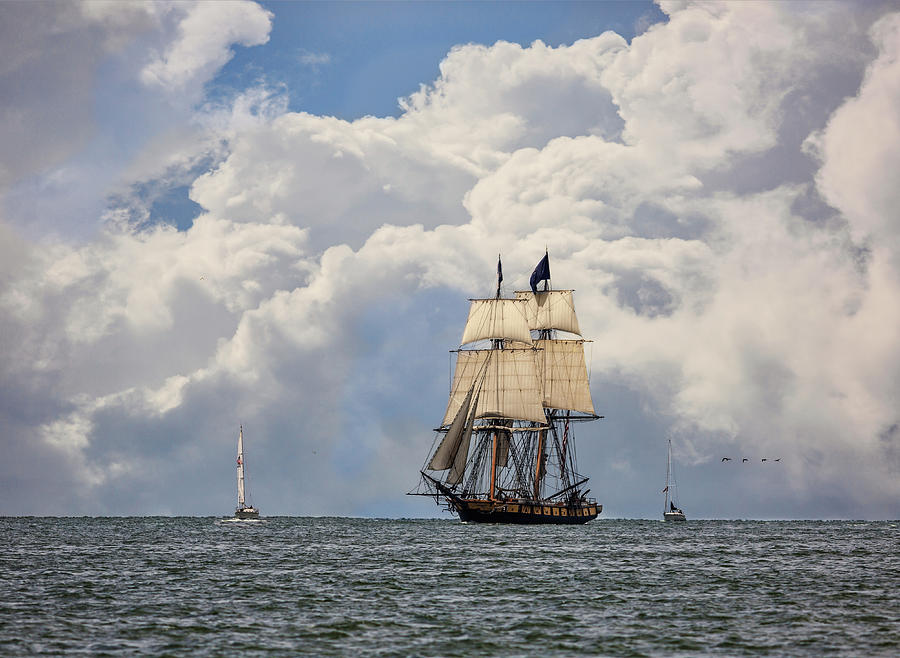 Sailing To Port Photograph by Dale Kincaid