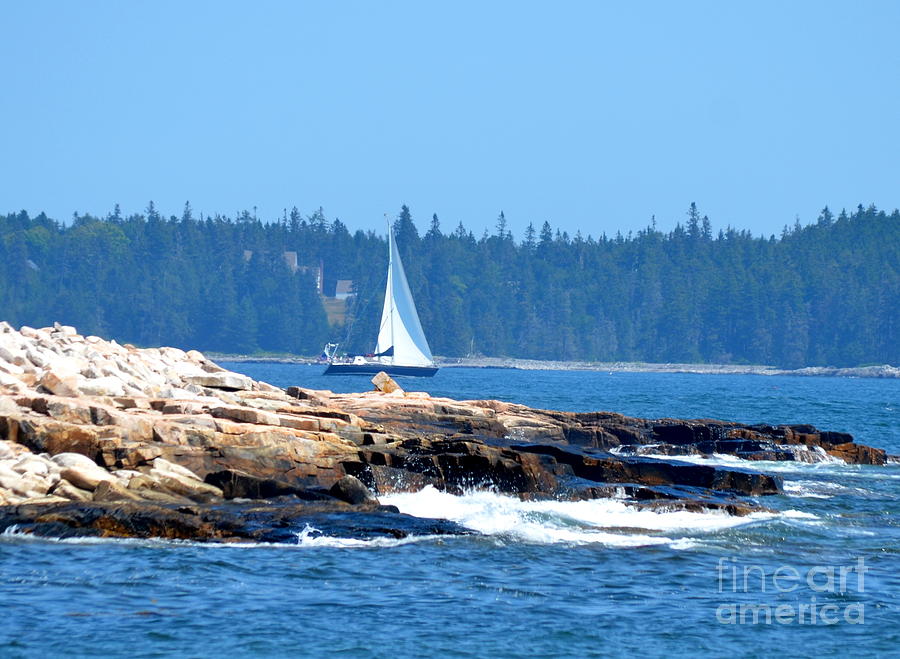 Sailing Up Maine Photograph