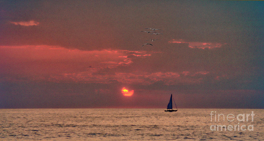 Sailing with the Sunset  Photograph by David Zanzinger