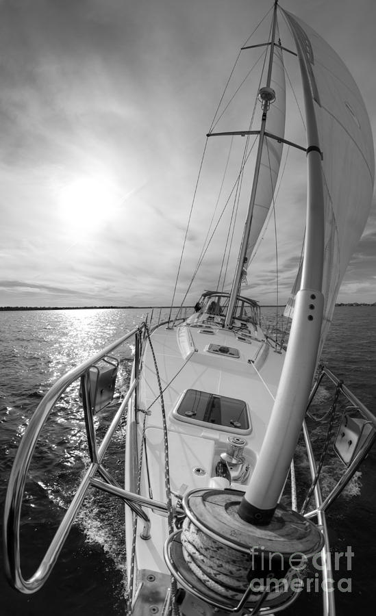 Sailing Yacht Fate Beneteau 49 Black And White Photograph