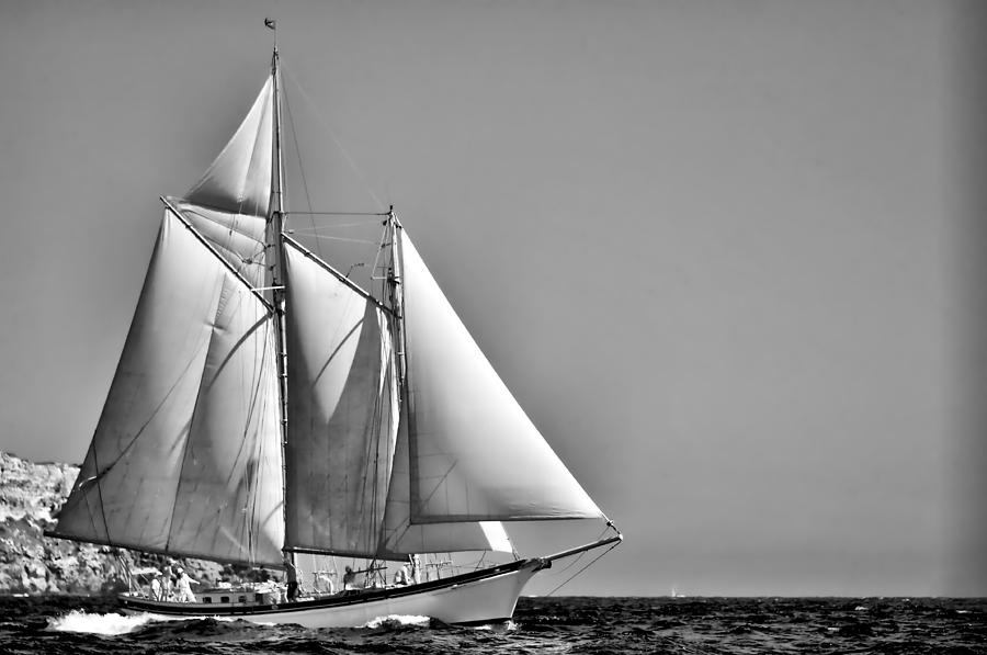 Sailrace in open sea - vintage vessel of two mast - pedro cardona Photograph by Pedro Cardona Llambias