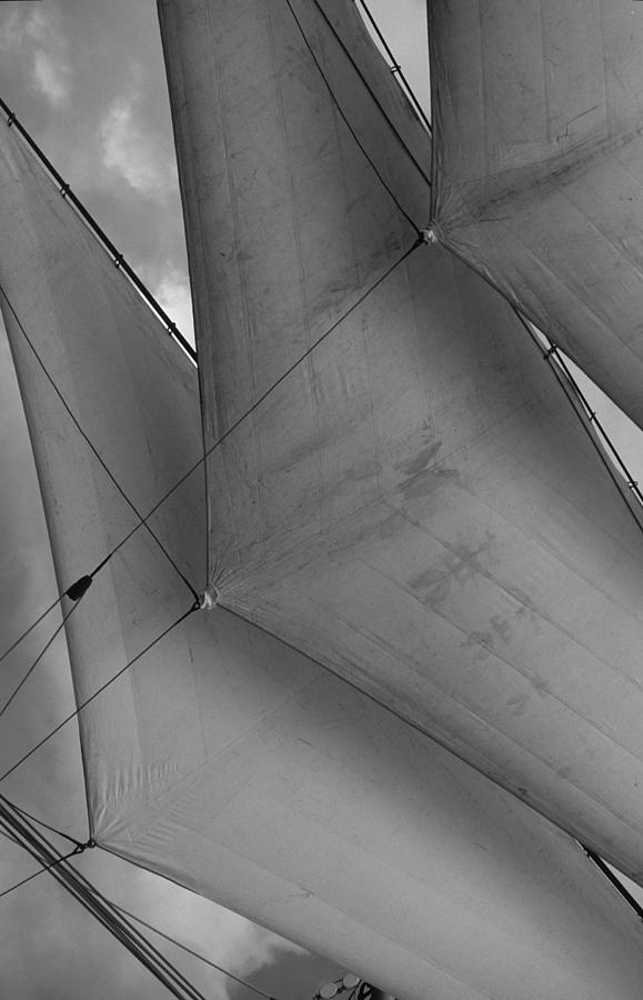 Sails Photograph by David Shuler