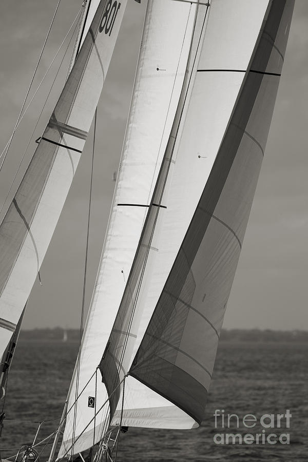 Sails of a Sailboat Sailing Photograph by Dustin K Ryan