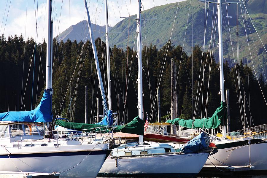 Seldovia Alaska Photograph - Sails of Seldovia by Lori Child