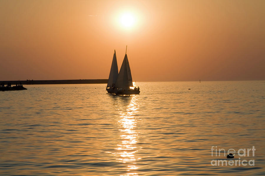 Sails on sunset Photograph by Irina Afonskaya