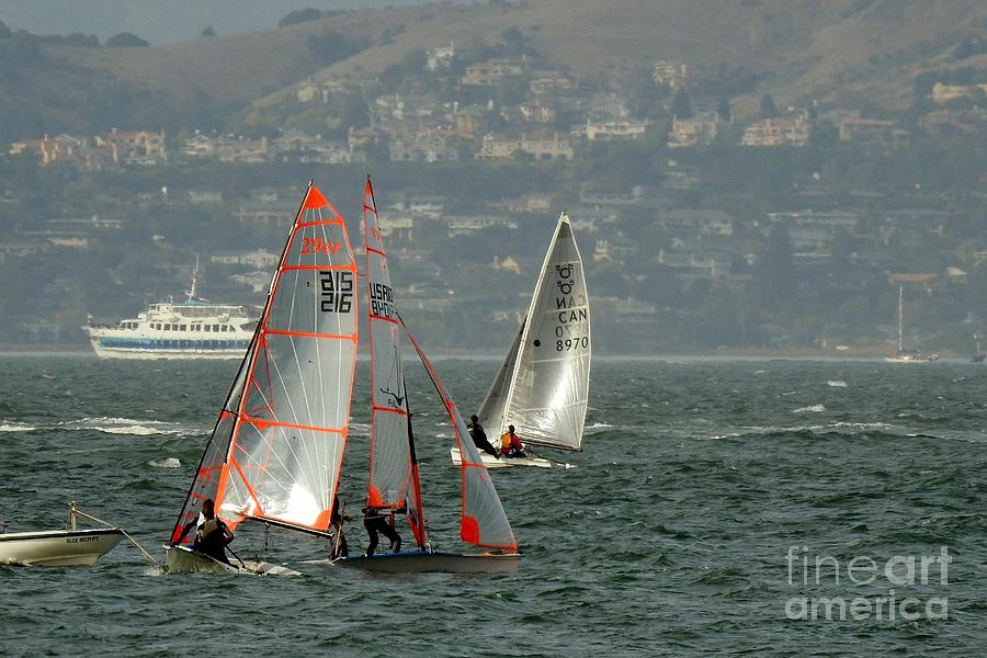 Sails On the Bay  Photograph by Scott Cameron