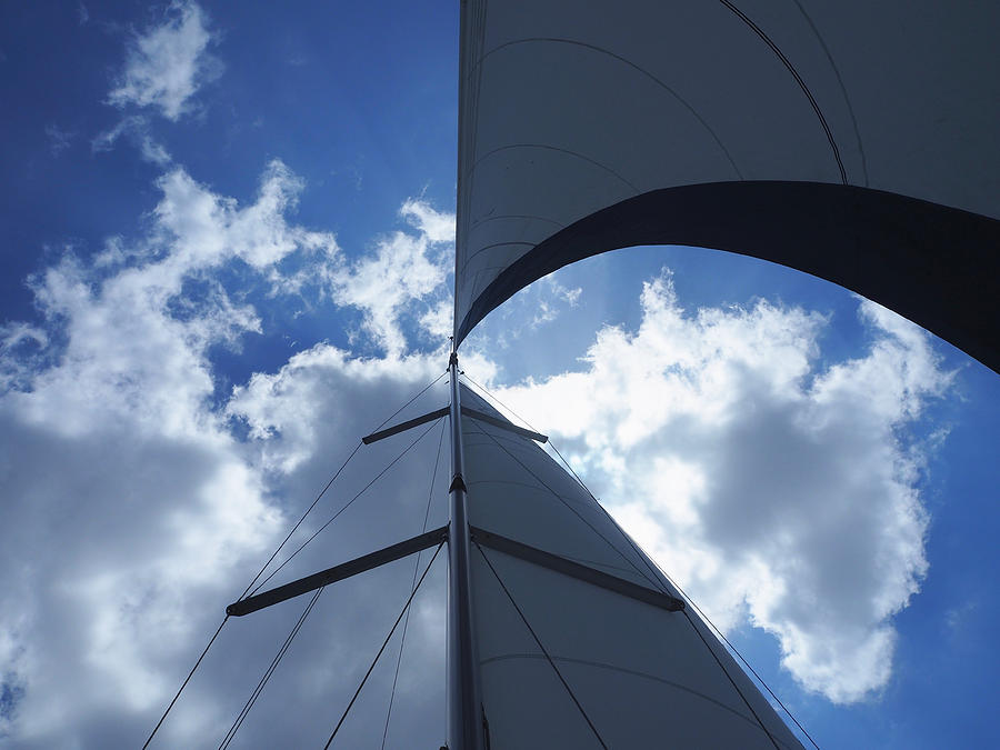 Sails unfurled Photograph by Life Makes Art