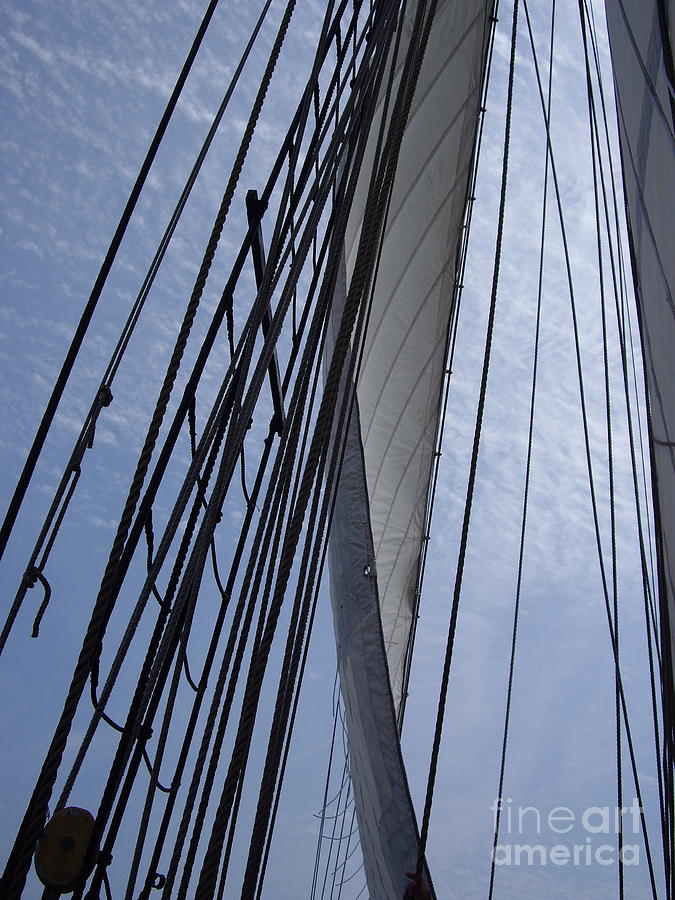 Sails Up 2 Photograph by Carol Komassa