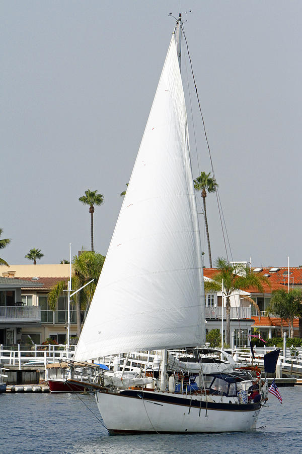 Sails Up Photograph
