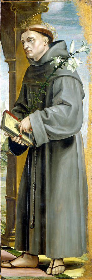 Saint Anthony of Padua Painting by Bernardo Zenale