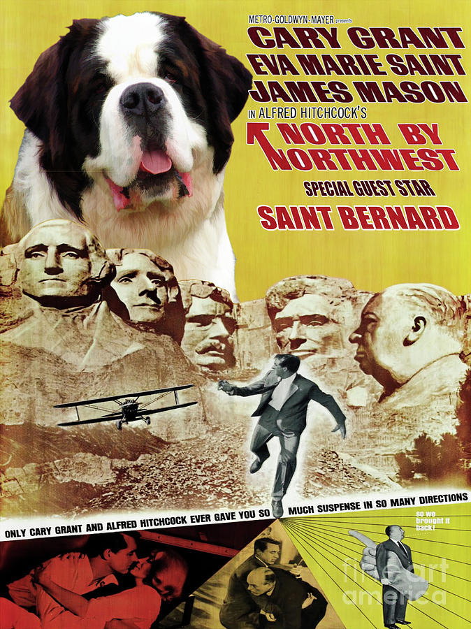Saint Bernard Art Canvas Print - North By Northwest Movie Poster Painting by Sandra Sij