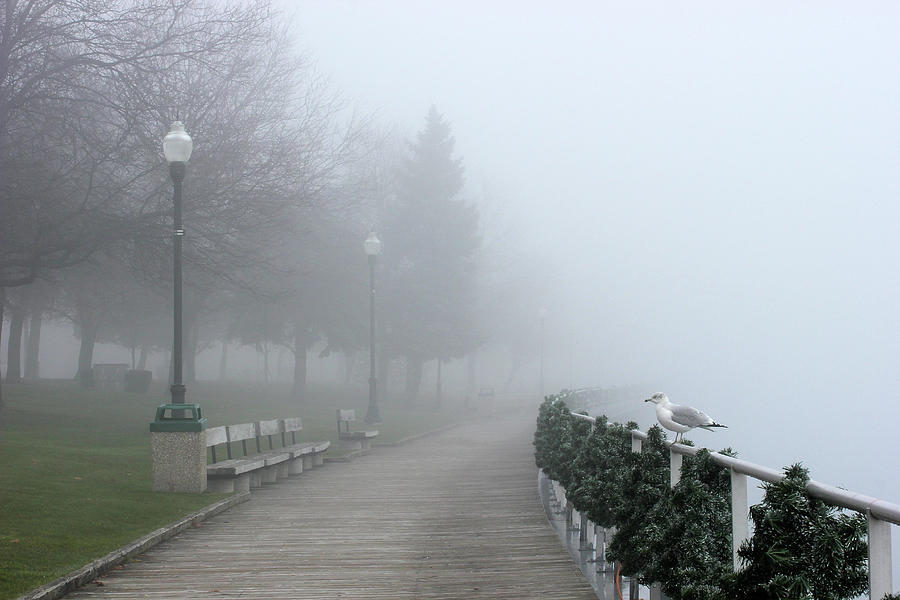 Saint Clair Boardwalk in Fog 20 Photograph by Mary Bedy