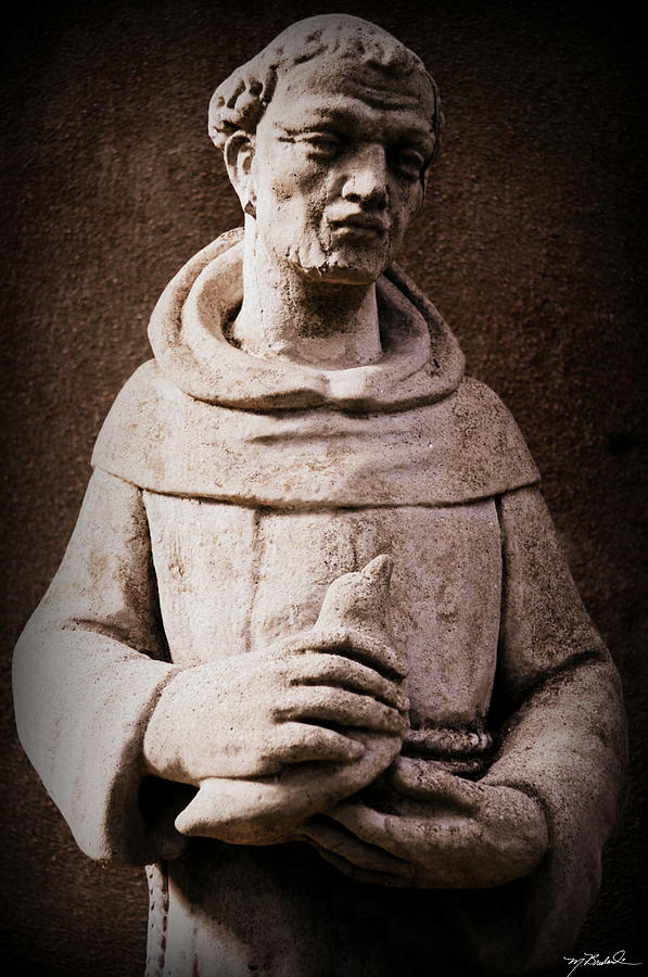 Saint Francis of Assisi Photograph by Melissa Wyatt | Fine Art America