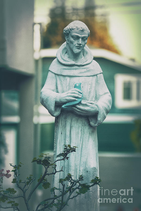 Saint Francis of Assisi, Pray for Us Photograph by Davy Cheng