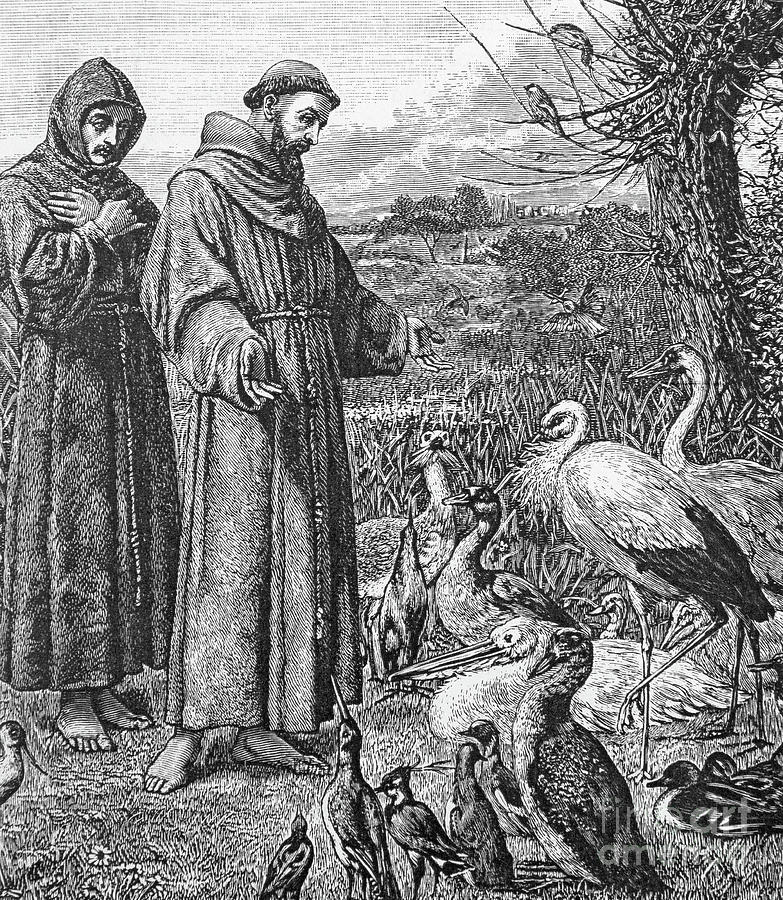Bird Drawing - Saint Francis of Assisi preaching to the birds by English School