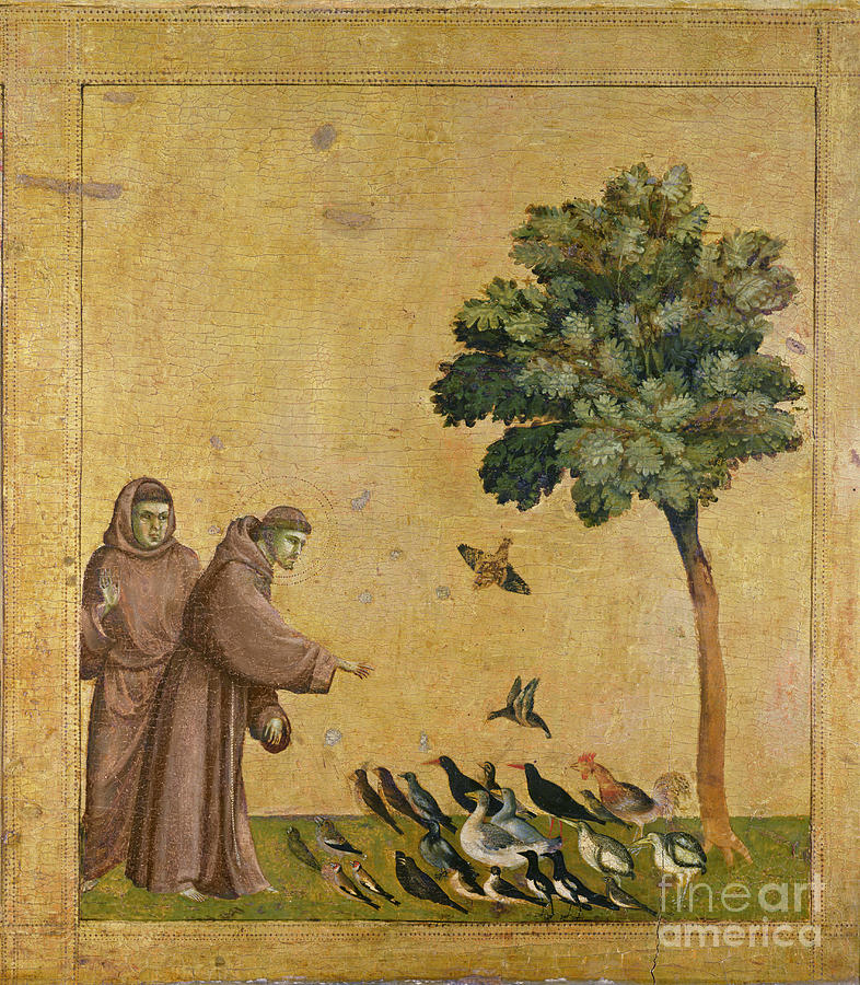 Francis Painting - Saint Francis of Assisi preaching to the birds by Giotto di Bondone 
