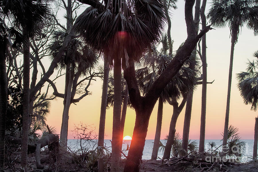 Saint Helena Island Sunrise Photograph by Robert Loe