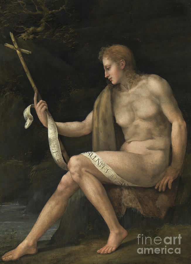 Nude Painting - Saint John the Baptist in the Wilderness  by Francesco Bacchiacca