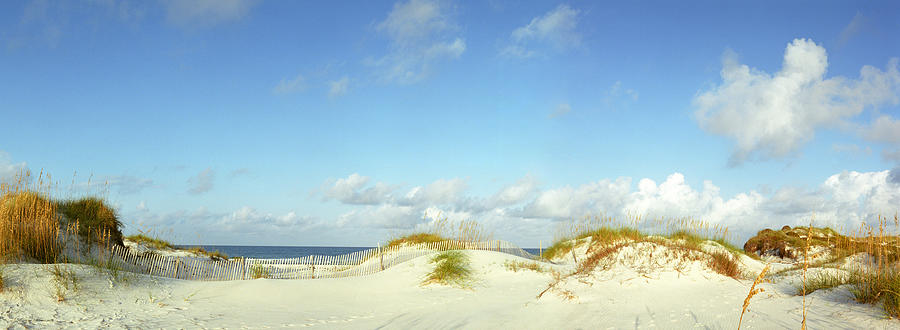 Saint Josephs Florida State Park Sand dunes and Sea Oats Photograph by John Harmon
