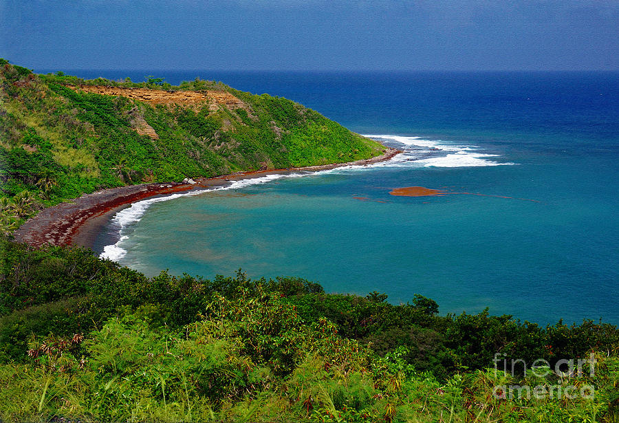 Saint Kitts Coastal View Photograph by Sue Melvin