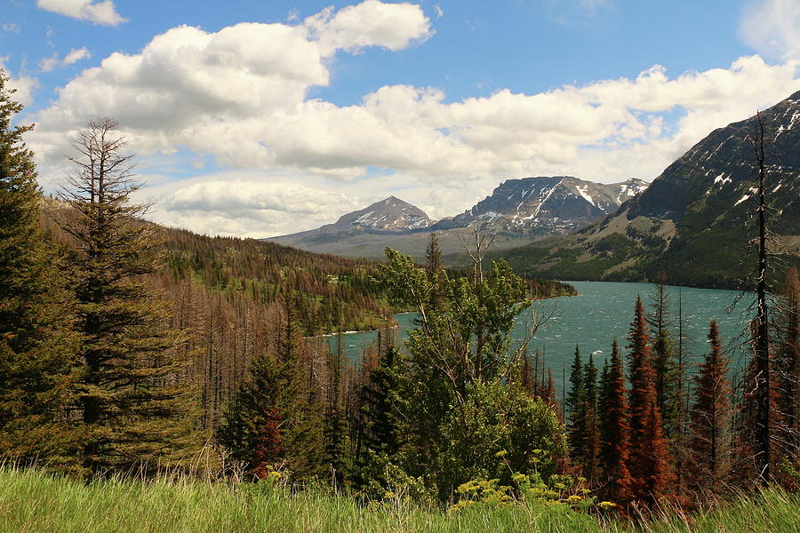Saint Mary Lake Photograph by Christiane Schulze Art And Photography