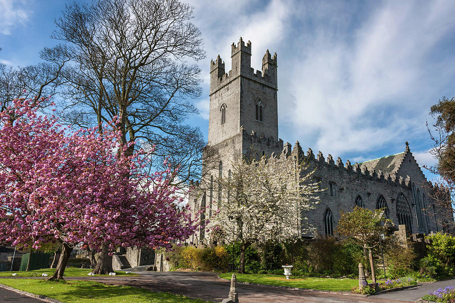 Saint Marys Cathedral in Spring Photograph by Pierre Leclerc Photography