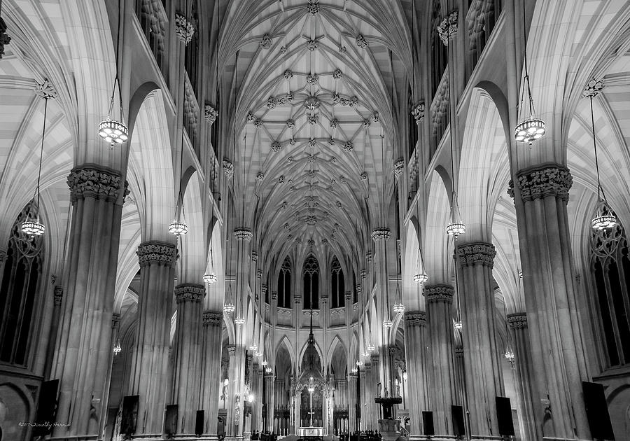 Saint Patrick's - NYC by Timothy Harris Saint Patrick's - NYC by Timothy Harris