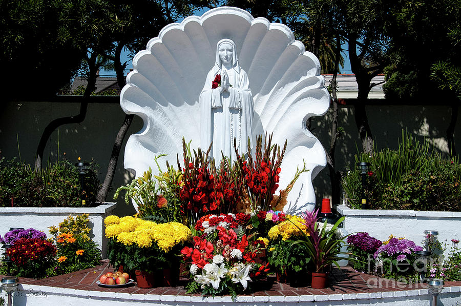 Saint Virgin Mary Statue #2 Photograph