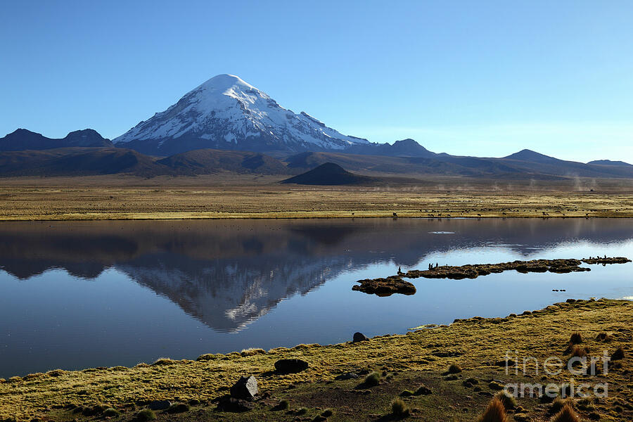 Sajama Volcano Reflections Bolivia Photograph by James Brunker
