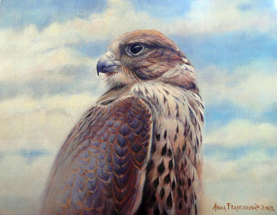 Falconry Painting - Saker Falcon - Ayra by Anna Franceova Falconry Painting - Saker Falcon - Ayra by Anna Franceova