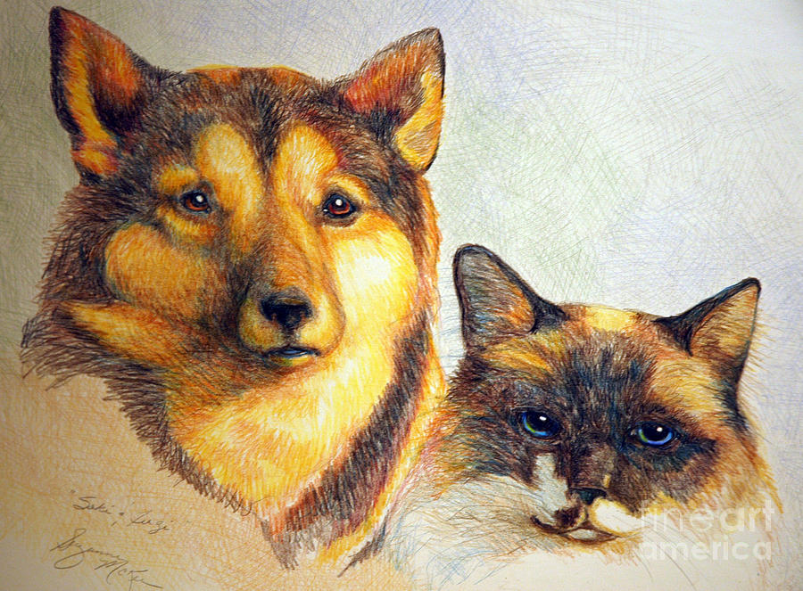 Saki and Fergi Drawing by Suzanne McKee