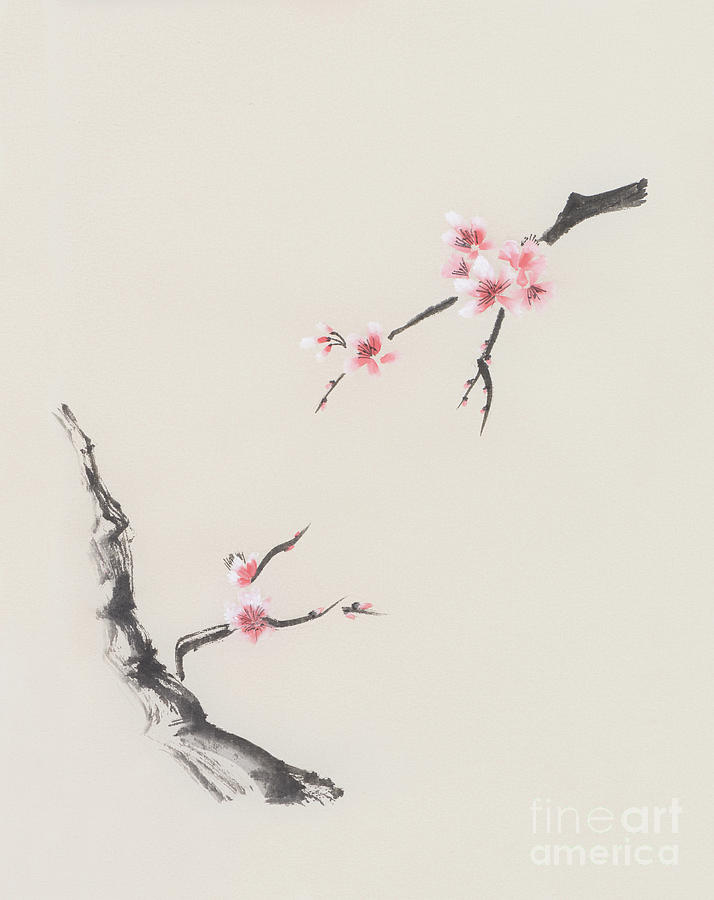 Sakura Tree Branches With Cherry Blossom Flowers Oriental ...