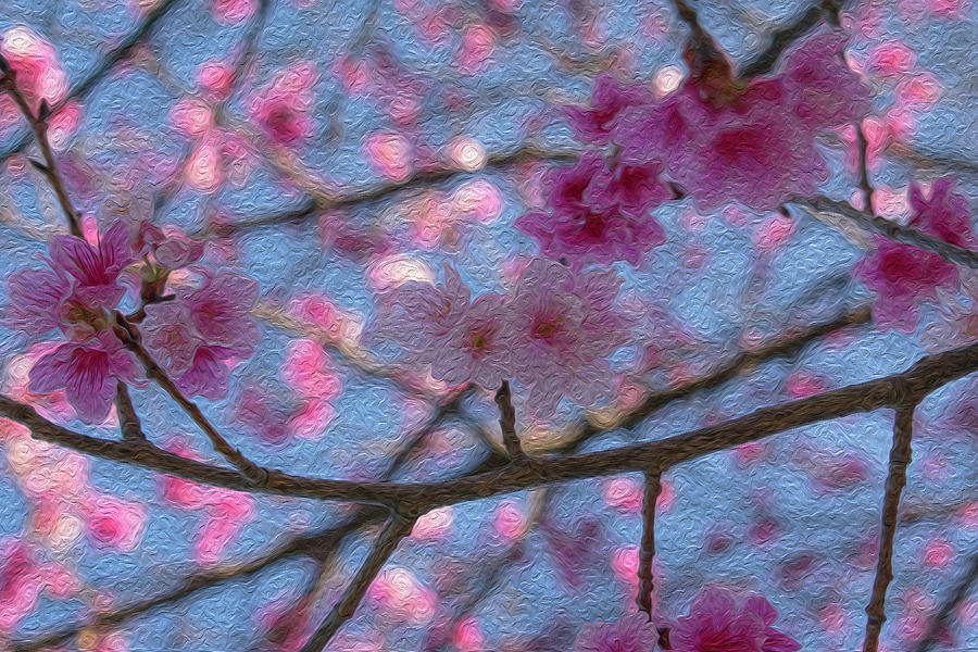 Flower Mixed Media - Sakura by Hemerson Coelho