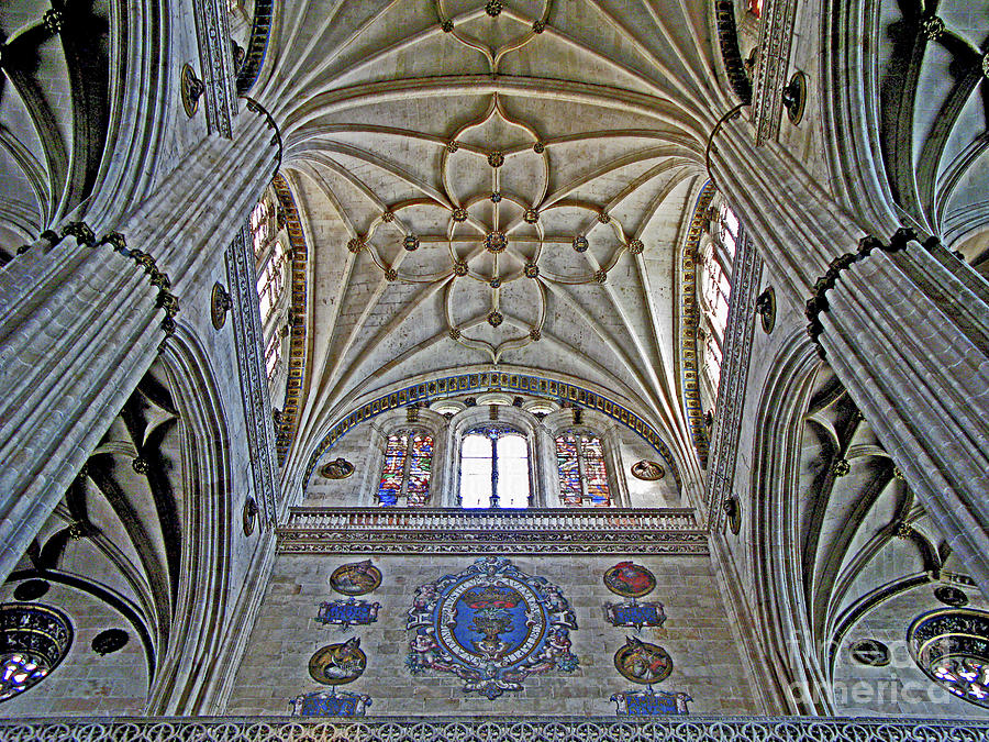 Salamanca Cathedral Vault Photograph by Nieves Nitta