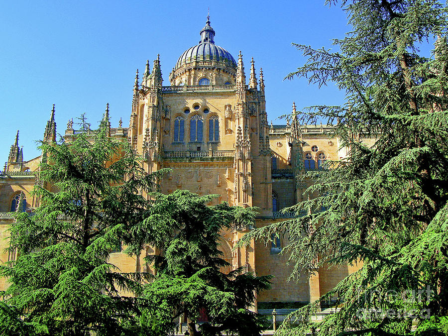 Salamanca New Cathedral Photograph by Nieves Nitta