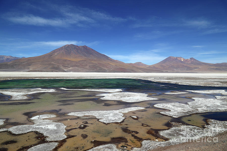 Salar de Ascotan Chile Photograph by James Brunker