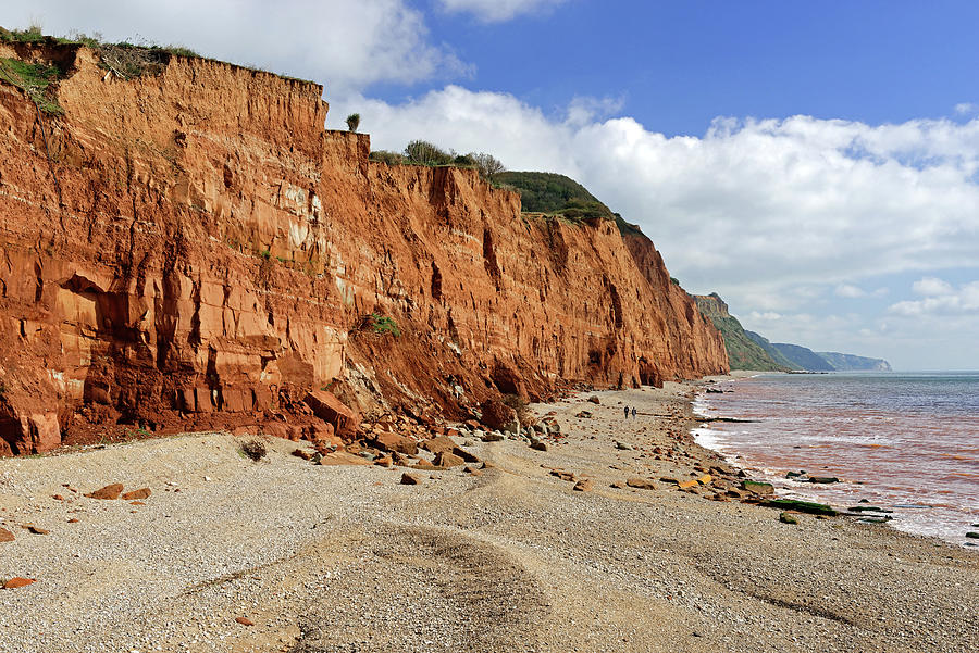 Salcombe Hill Cliff - Sidmouth Photograph by Rod Johnson