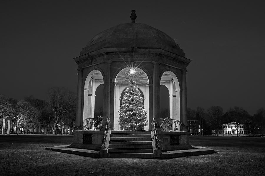Salem Common Christmas Tree Salem MA Black anf White Photograph by Toby McGuire
