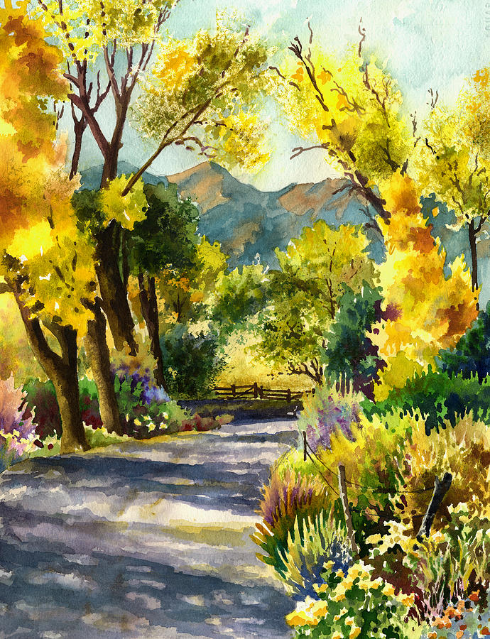 Salida Country Road Painting by Anne Gifford